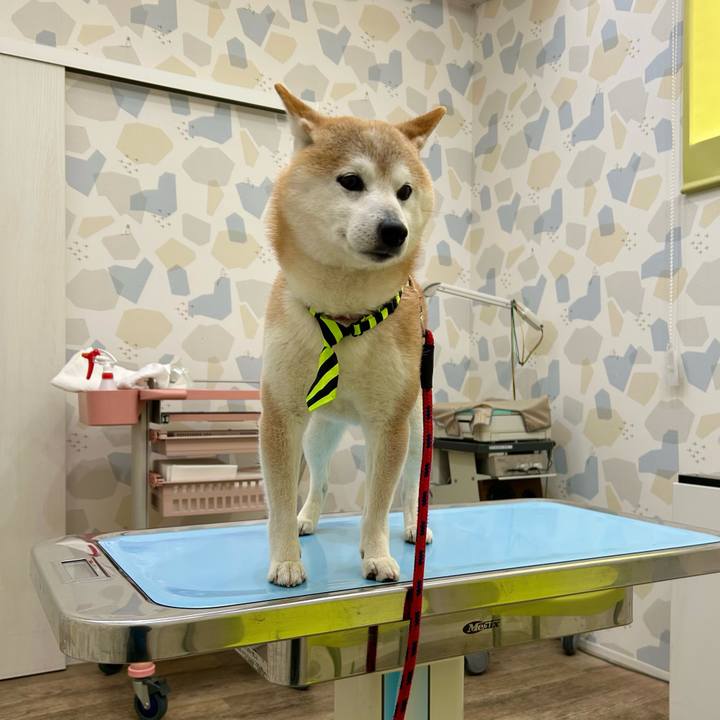 93bb90a9 ef1a 43bb 9084 315d6bdac552 1744361783320