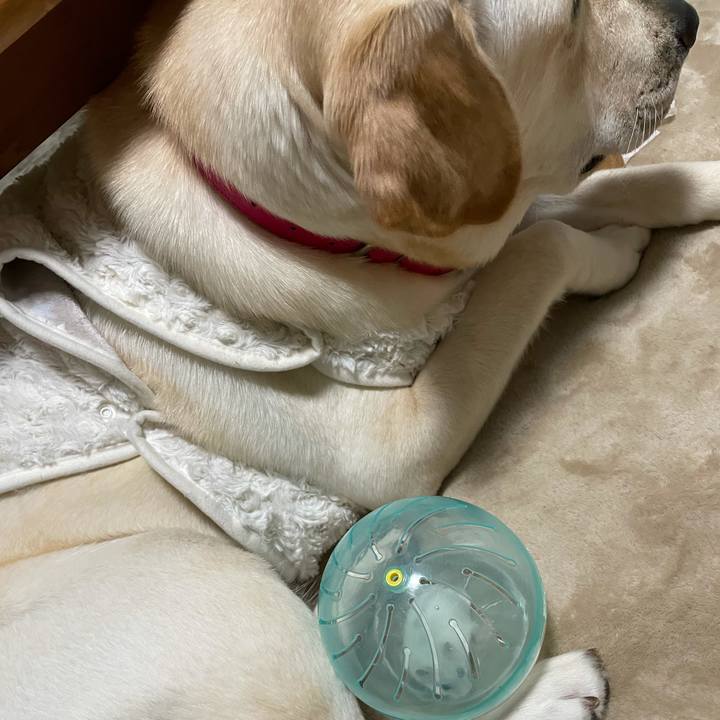 93bbf191 59ad 4570 b48b e21b4659e4ed 1634642967399