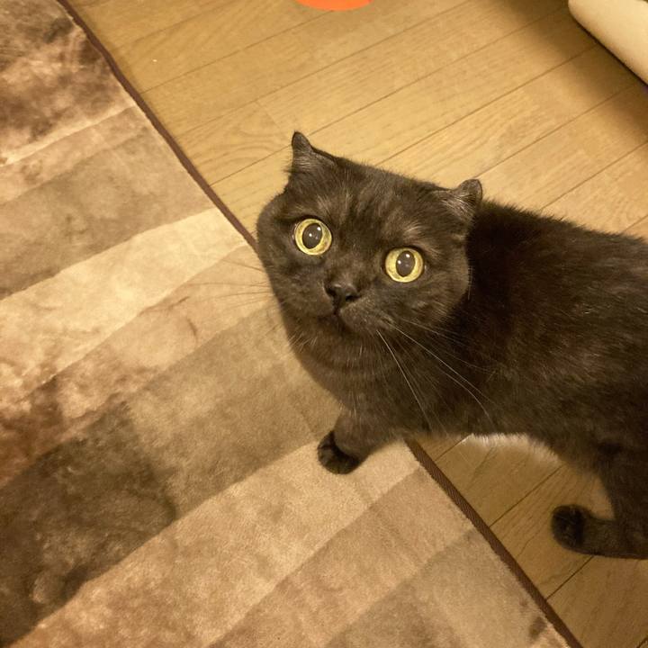 93bc1d8c 8bb3 41ed b996 02bf4cd429f1 1593274693886