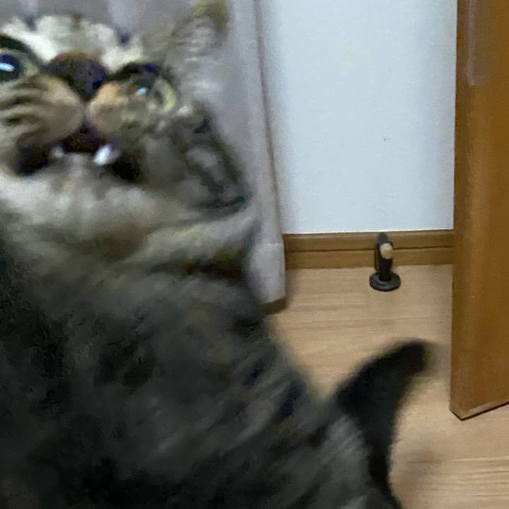 93bc2346 0de0 4f09 bc75 8486a1d68693 1652268263932