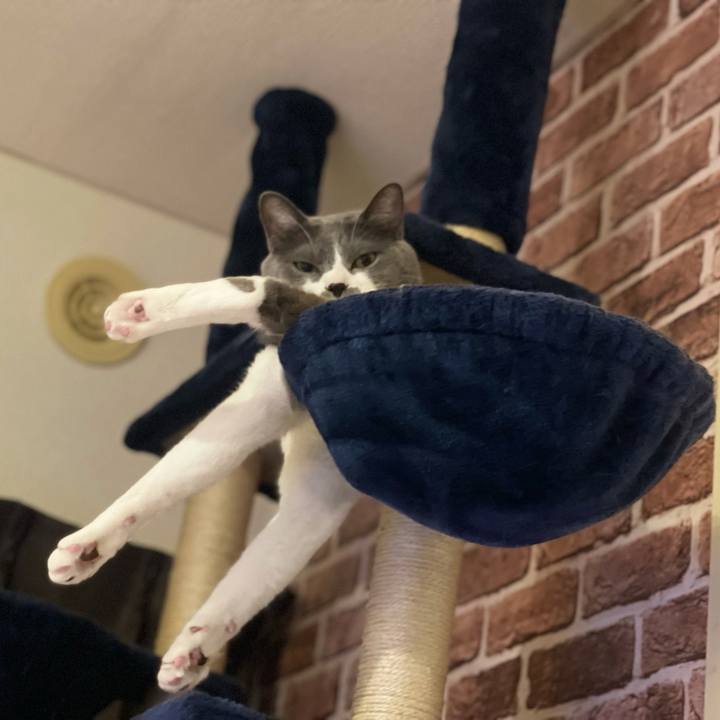 93bc23ba e43a 4c56 b559 f2fa6861382f 1635673706901