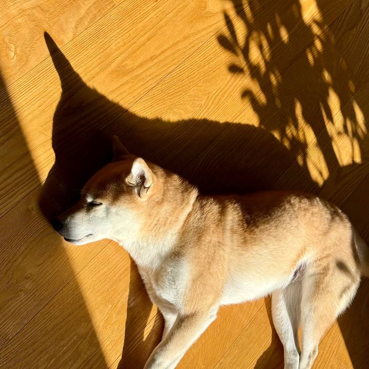 93bc6e31 82bf 4ffc a833 2e20a951d0f4 1765077523038