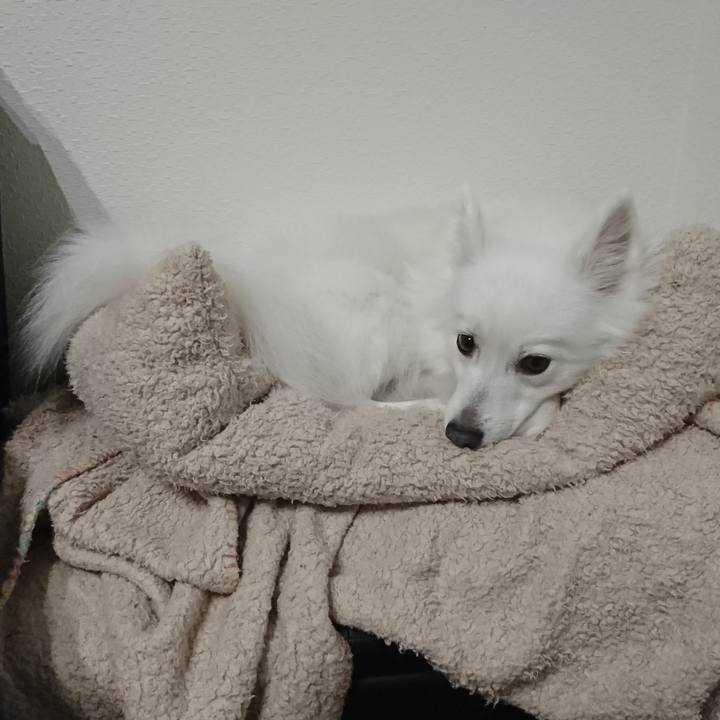 93bc7f5d 569b 41af 96ca 84018a7af2a8 1583920820686