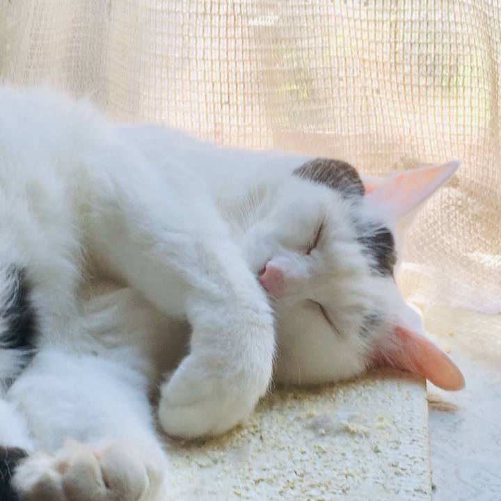 93bcd0ca 5a06 4b06 937c 53cdcd4b87ba 1564803974014