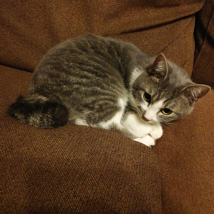 93bce59f 8530 476a 9eff 0400511cfc3b 1577289517869