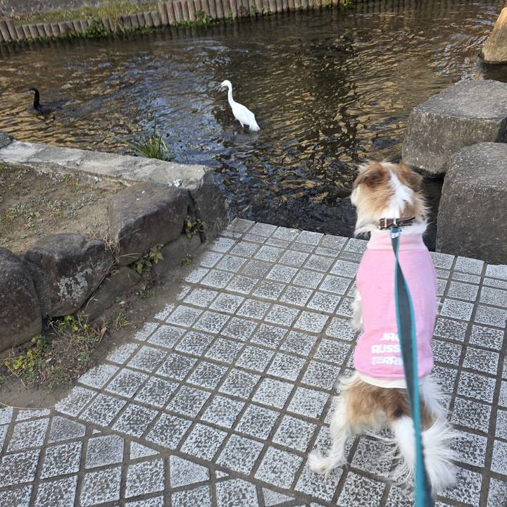 93bd444e 220b 4cdd 9574 87f4489c0c45 1768815229469