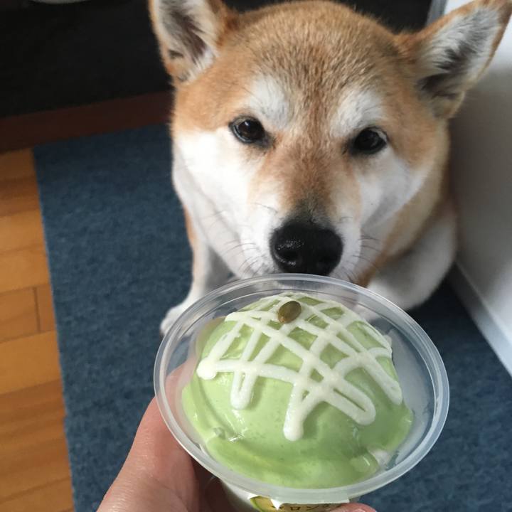 93bd5d66 d944 4768 a57e 24ccc04d421d 1621922488154