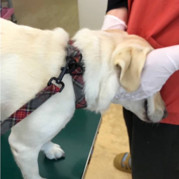 93bd6255 88c4 4bca b45c 8205abb093c7 1654568081252