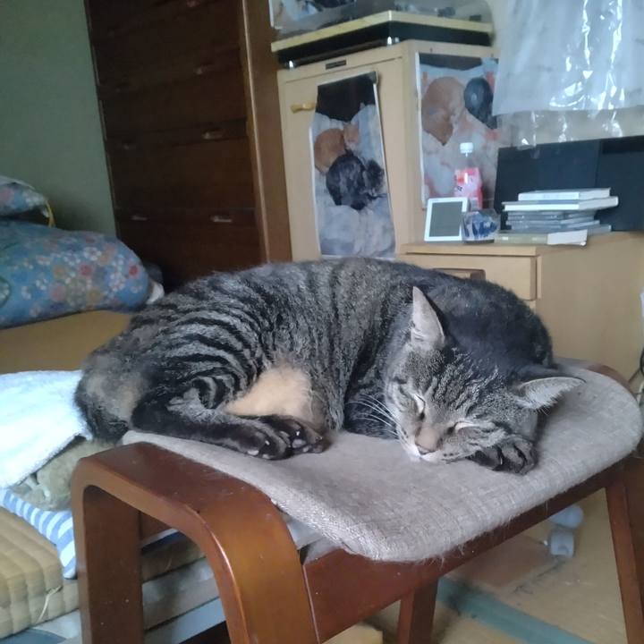 93bd6328 351d 4df4 ae89 43cdb9ab4cfe 1757492207637