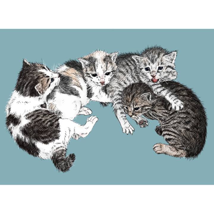 93bd736a 81e0 45c4 a627 2e3d1f2758de 1628811525722