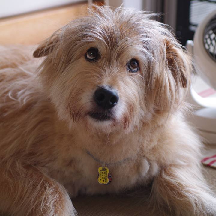 93bd7aab b310 452e 99f9 01e8ca4f06c5 1592108082299