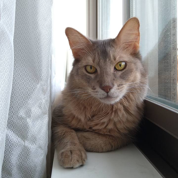 93bda523 0f7a 4cca b4fb 20d96c00dfe2 1627791582221