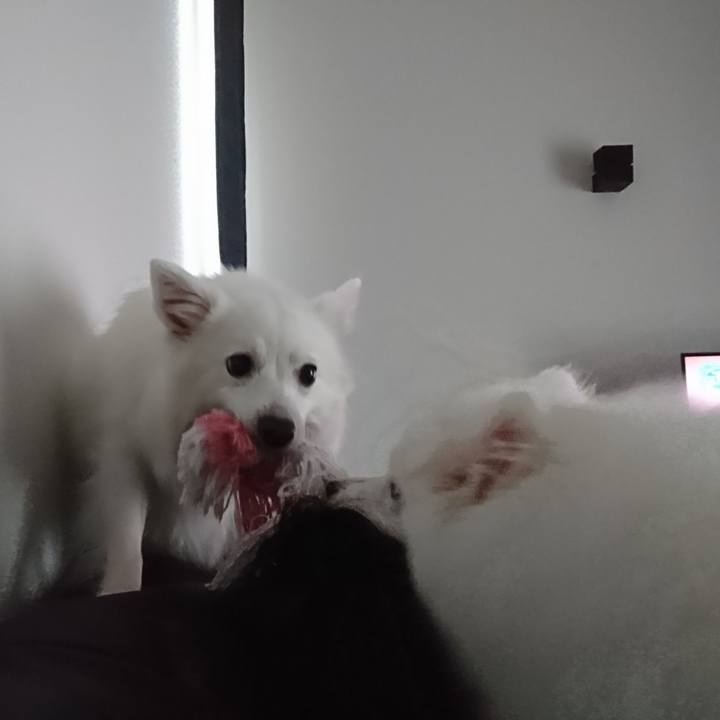 93bddfb9 e2cd 4b8e 8867 c65d24ddc005 1551590641063