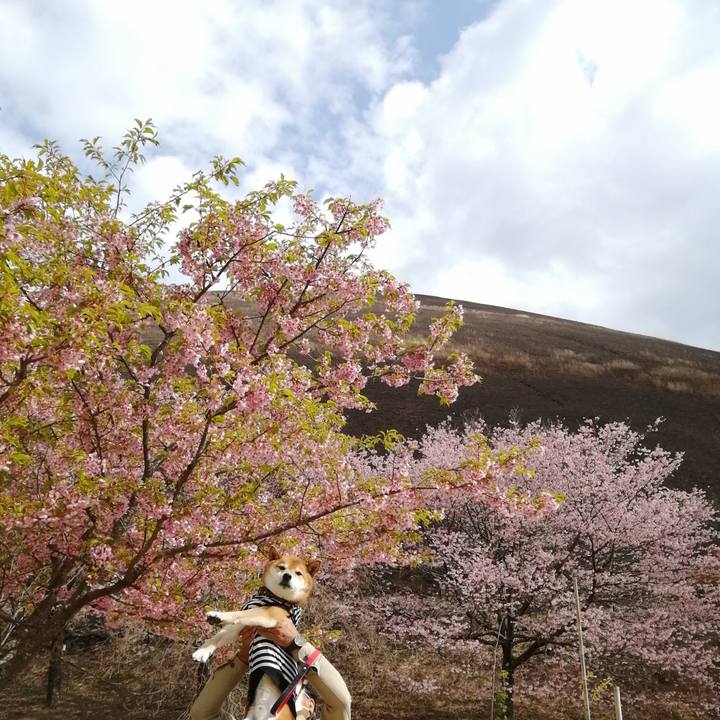 93bde809 57d8 4b78 8478 a5c936d56fdf 1647933339470