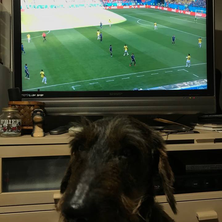 93be1285 c525 4ab9 ab22 435b55eebc39 1529410994282