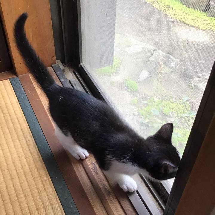 93be1bf6 bdf5 47c4 aea0 8bf8ed2d7664 1624932488917