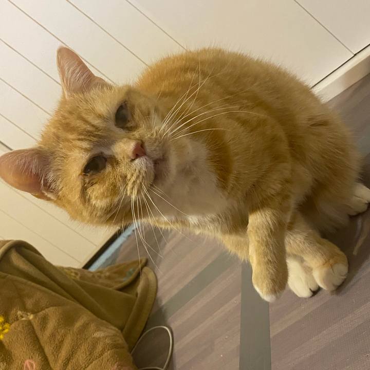 93be3a6a 6a79 4e56 8ddd b628884337ec 1646405120000