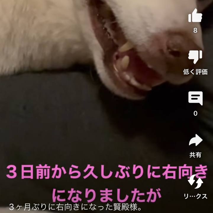 93be6ca3 24ce 4c72 a4ba 0170b99da4d8 1675903517462