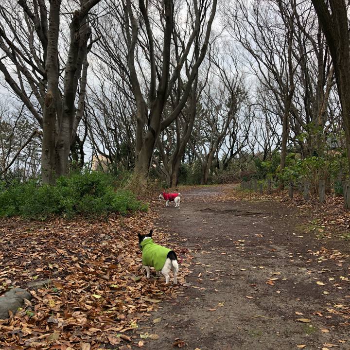 93be971d 5470 4734 ad36 086f56dc42fa 1576110011184