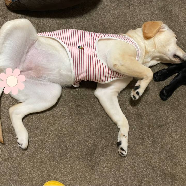 93bebd20 678e 4fe2 abae e0ea7bbdd71c 1622519288513