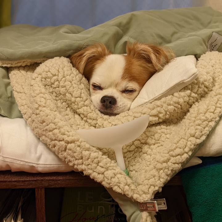 93bee8bc 1cc6 4fb1 93b3 09148cd72429 1670290679939