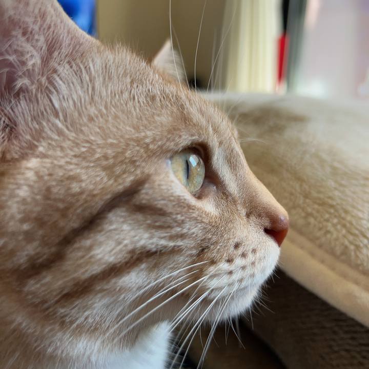 93bef365 0658 4a5f 8fbc da4d25a91c23 1714277462534