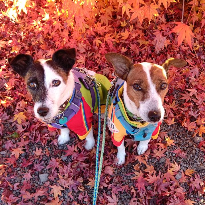 93bef4a3 14fe 4d59 b0a0 ccb4637cb10d 1667731998999