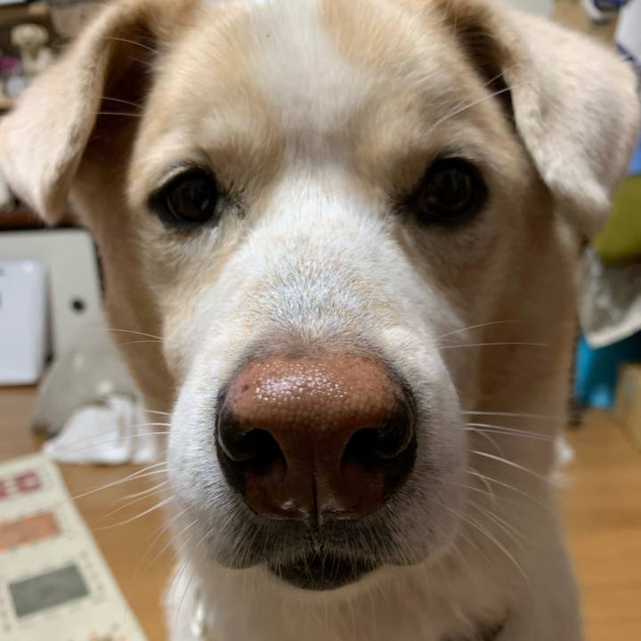 93beff3f e314 4826 a358 b0b42d8016b5 1608028979216