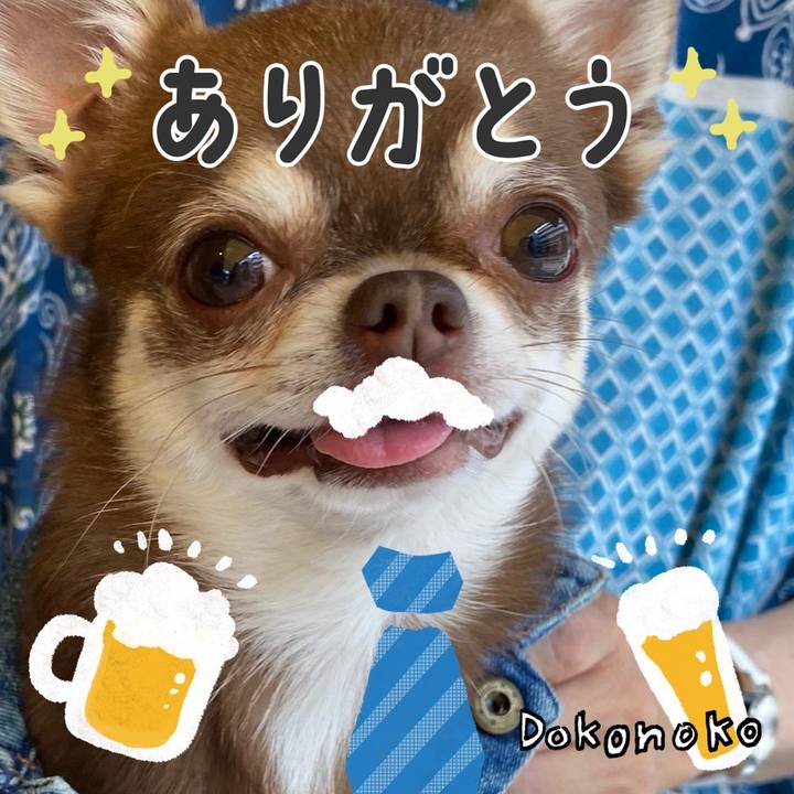 93bf3e2e b687 4b99 822b 26552832a8cf 1718454217193