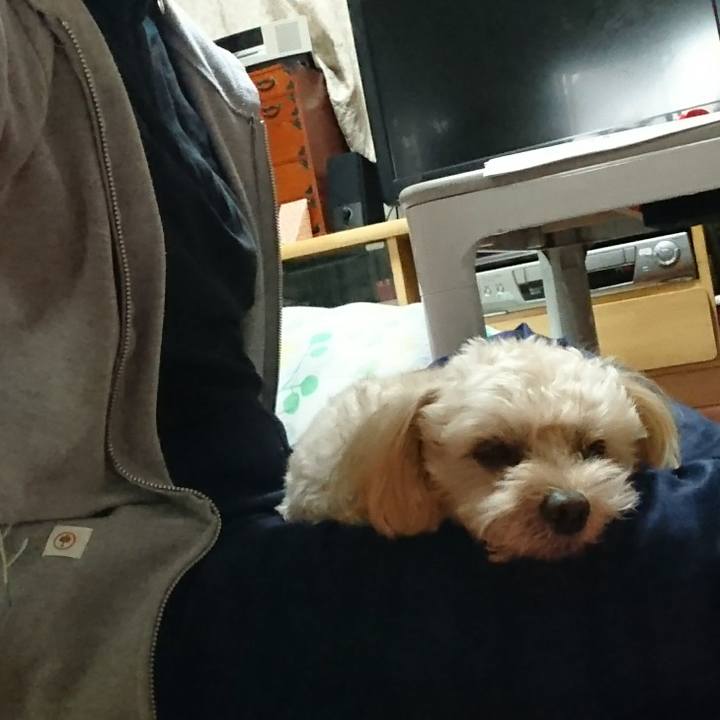 93bf6bff f9d4 4cb9 9b19 fbe66f78071b 1603589911887