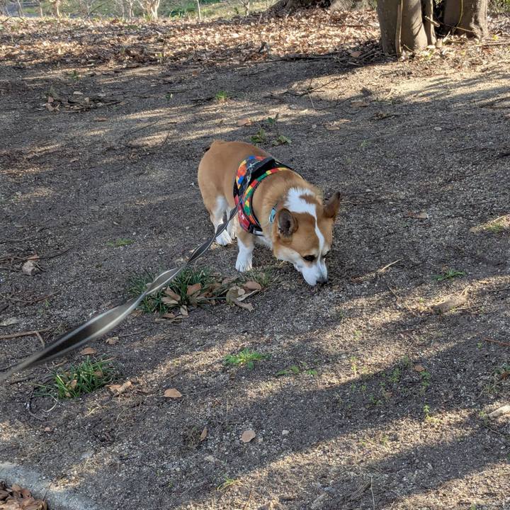 93bf7255 1fd7 477d ad38 b9a979a0ae2d 1737608183372