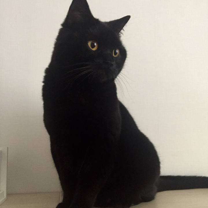 93bf78d7 cfe3 40dc b85f 72373d414683 1528507290263