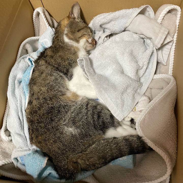 93bf94a0 df35 4931 9939 f13b0e3dbe33 1689430368333