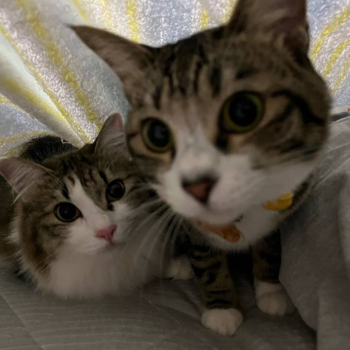 93bfb6eb 395c 4a12 bfa5 0f15bddd6f49 1757474629642