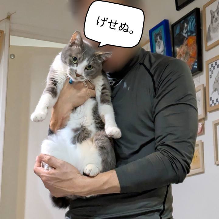 93bff8f6 bf49 469a a9f9 879098171df6 1763379817439