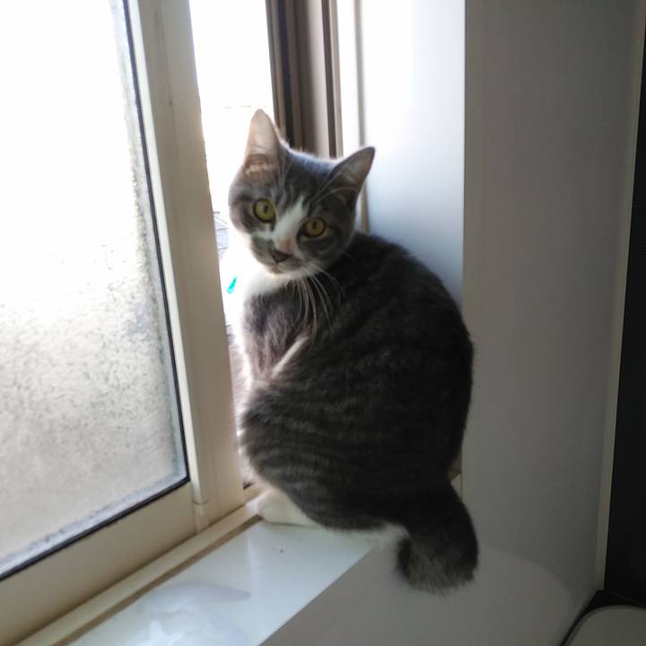 93c00ab3 c42e 4b92 8e96 76c73049c79d 1576021762974