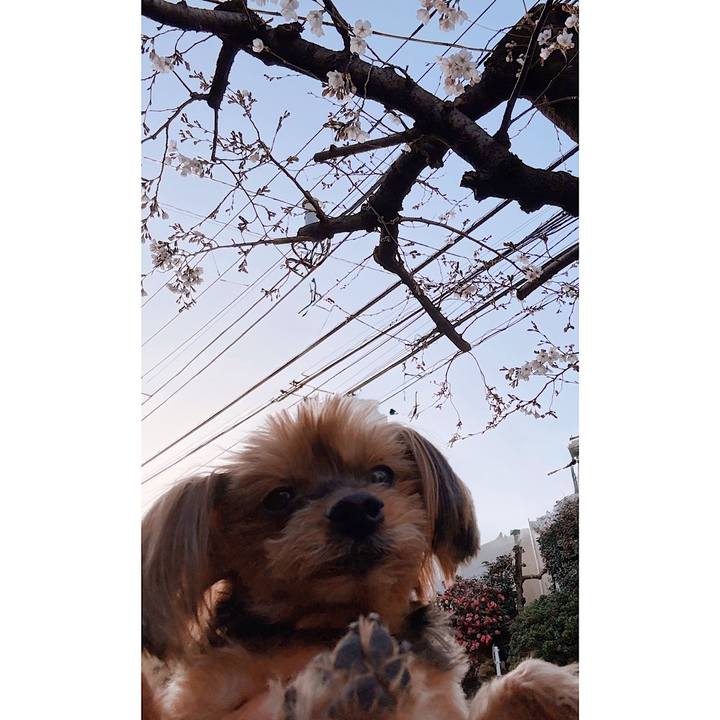 93c01ff6 0470 4f45 af78 1e546b378150 1774565842645