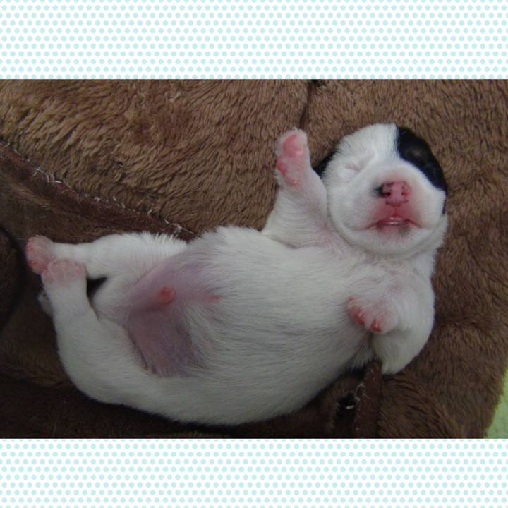 93c03015 aa36 484b 92ca c669f4c95b4b 1524611120538