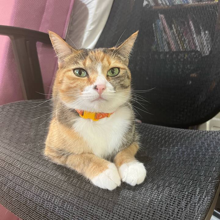 93c04a26 5d63 43c9 a046 0c953b505dfc 1681688558747