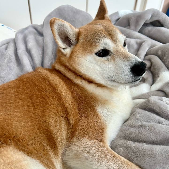 93c07ce9 ad1c 4c31 9d4e 388f2e91916f 1772594203917