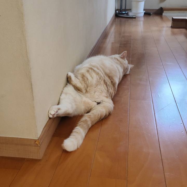 93c095ff ae75 4a14 9bb4 f7e35de79c7d 1624264504074