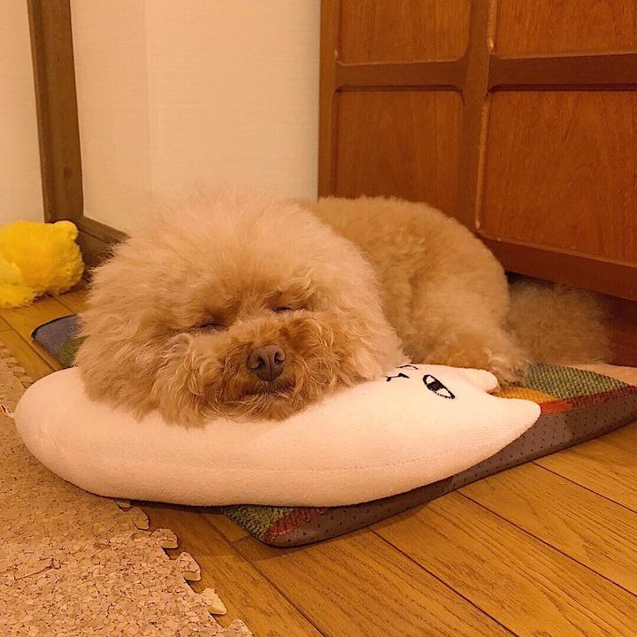 93c09a52 3c89 4770 bcbd 469436eaac6c 1533128689543