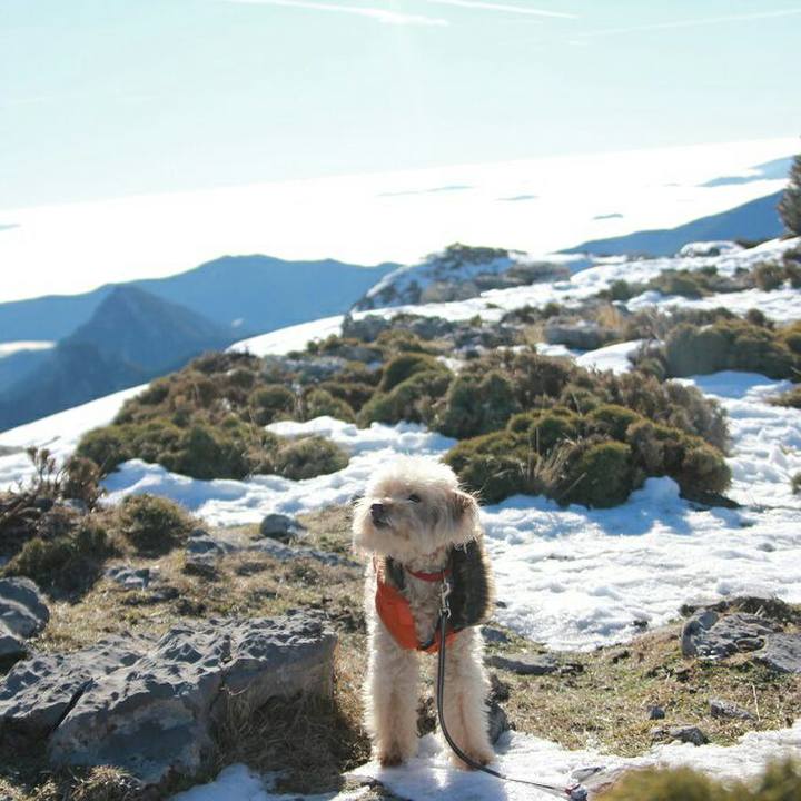 93c0a014 3a35 41d7 8e0c 28359b6564fd 1578925676622