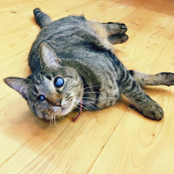 93c0c39e 137d 4632 a6a2 7156908de710 1520475462812