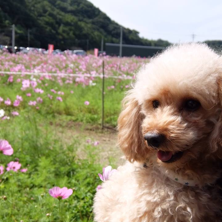 93c0f4cc b90d 45cc 9107 1bbf709ac20f 1539511254981