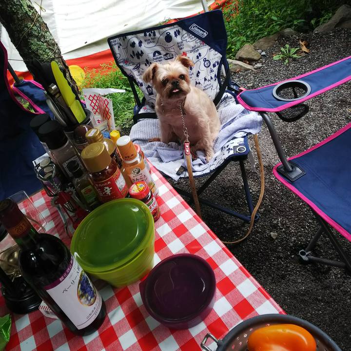 93c0f9f4 5da6 43ae 8c23 2b5e3b161d7a 1535158685514