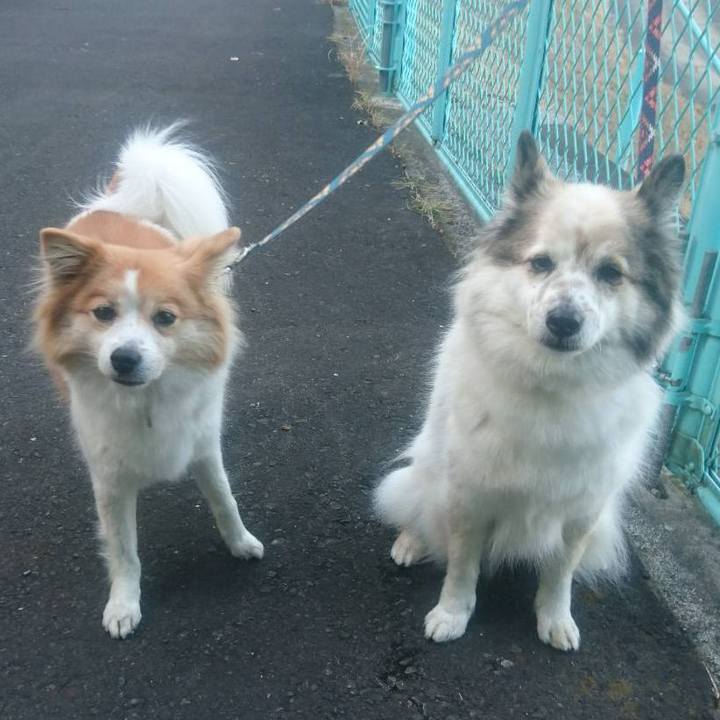 93c11350 87f8 4619 a892 a074de5e83e4 1682852856333