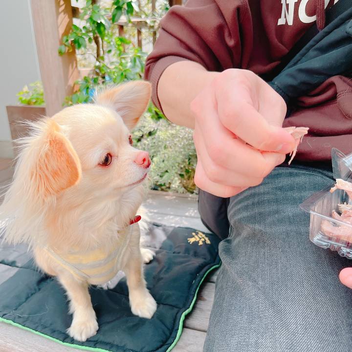 93c12e75 770c 42e8 a32f 142d35709da1 1647860787280