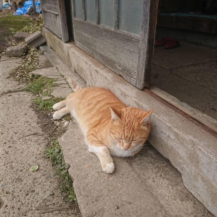 93c13133 c4f7 4ab5 8c44 7bceaa775878 1583032405188