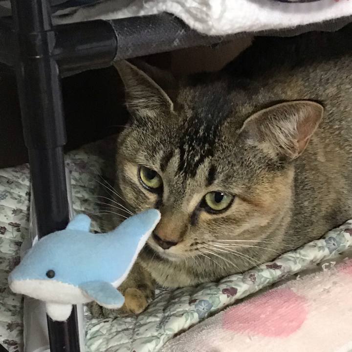 93c14d54 a8d4 44e6 8dac 4e1dd0ceedf5 1579939511706